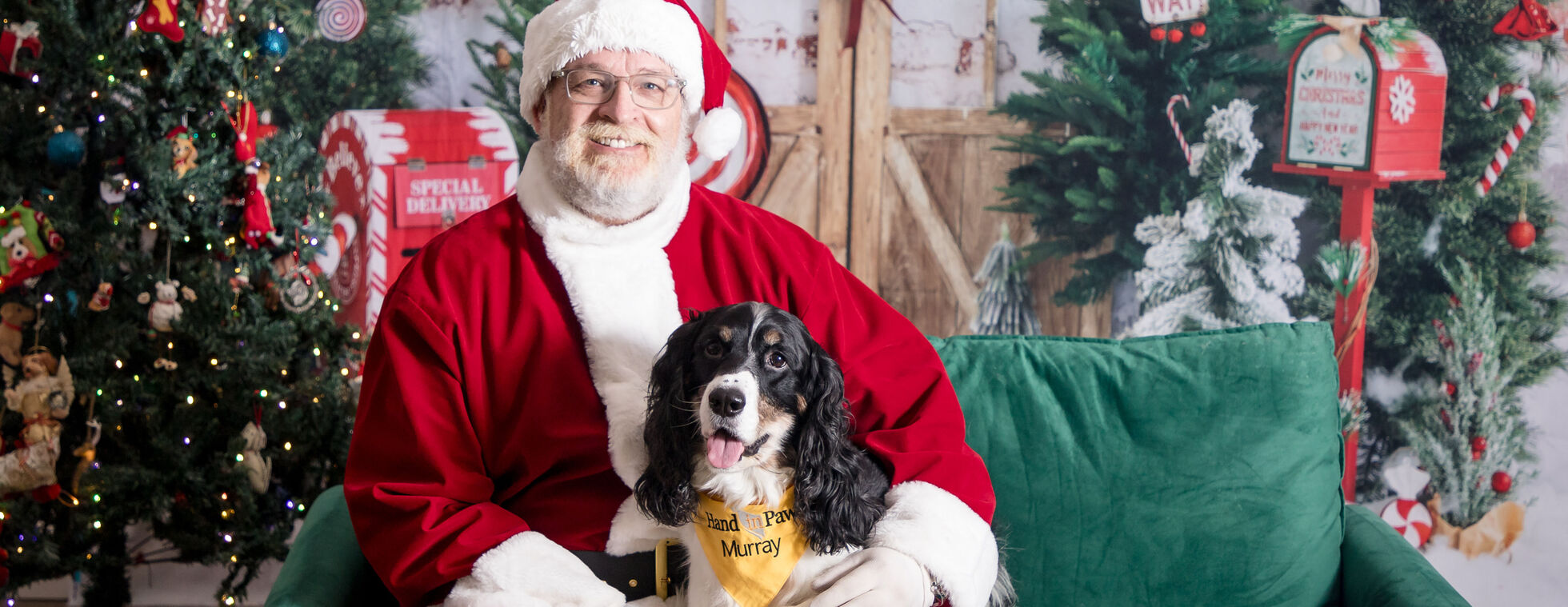 Santa Paws Pet Photos